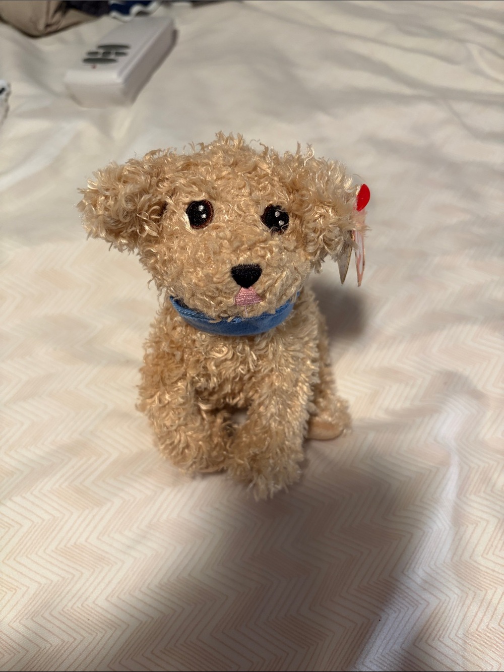 Plush Tan Dog Beanie Baby with Blue Collar Magic Old Navy